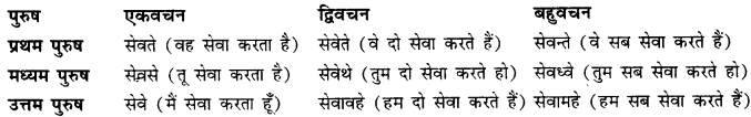 CBSE Class 11 Sanskrit धातुरूपाणि 54