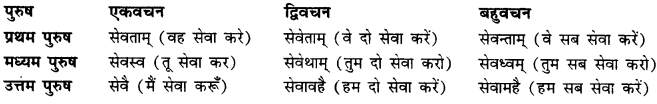 CBSE Class 11 Sanskrit धातुरूपाणि 57
