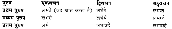 CBSE Class 11 Sanskrit धातुरूपाणि 59