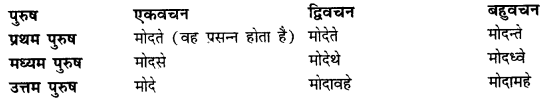 CBSE Class 11 Sanskrit धातुरूपाणि 65