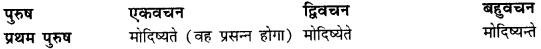 CBSE Class 11 Sanskrit धातुरूपाणि 67