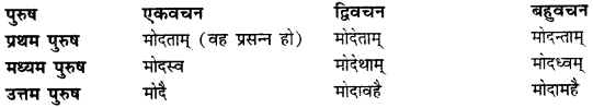 CBSE Class 11 Sanskrit धातुरूपाणि 69