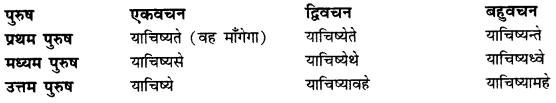 CBSE Class 11 Sanskrit धातुरूपाणि 73