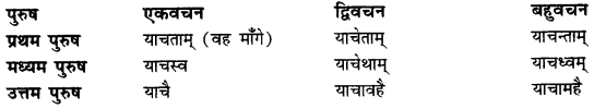 CBSE Class 11 Sanskrit धातुरूपाणि 74