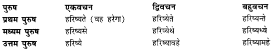 CBSE Class 11 Sanskrit धातुरूपाणि 80