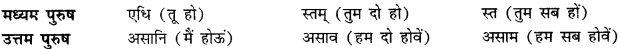 CBSE Class 11 Sanskrit धातुरूपाणि 85