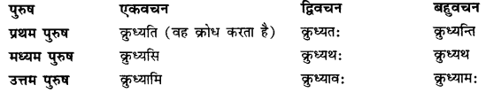 CBSE Class 11 Sanskrit धातुरूपाणि 98