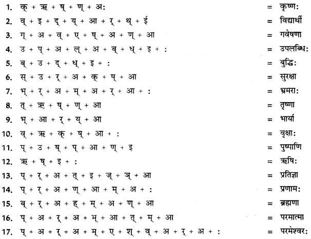 CBSE Class 11 Sanskrit वर्तनी 6