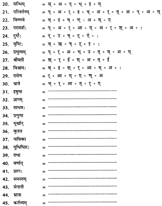 CBSE Class 11 Sanskrit वर्तनी 9