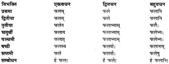 CBSE Class 11 Sanskrit शब्दरूपाणि 4