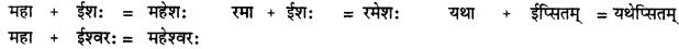 CBSE Class 11 Sanskrit सन्धिः 16