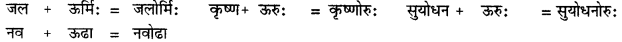 CBSE Class 11 Sanskrit सन्धिः 18