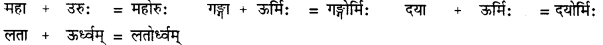 CBSE Class 11 Sanskrit सन्धिः 20