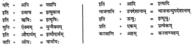 CBSE Class 11 Sanskrit सन्धिः 24