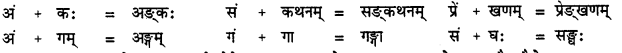 CBSE Class 11 Sanskrit सन्धिः 35