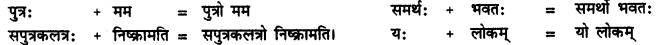 CBSE Class 11 Sanskrit सन्धिः 49
