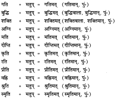CBSE Class 12 Sanskrit व्याकरणम् प्रकृति-प्रत्यय-विभाग 11