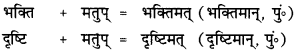 CBSE Class 12 Sanskrit व्याकरणम् प्रकृति-प्रत्यय-विभाग 12
