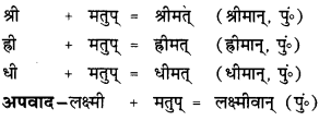 CBSE Class 12 Sanskrit व्याकरणम् प्रकृति-प्रत्यय-विभाग 13