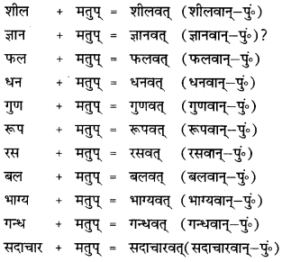 CBSE Class 12 Sanskrit व्याकरणम् प्रकृति-प्रत्यय-विभाग 16