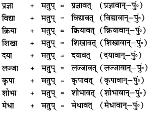 CBSE Class 12 Sanskrit व्याकरणम् प्रकृति-प्रत्यय-विभाग 17