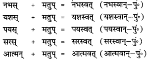 CBSE Class 12 Sanskrit व्याकरणम् प्रकृति-प्रत्यय-विभाग 18