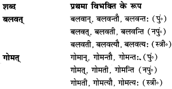 CBSE Class 12 Sanskrit व्याकरणम् प्रकृति-प्रत्यय-विभाग 19
