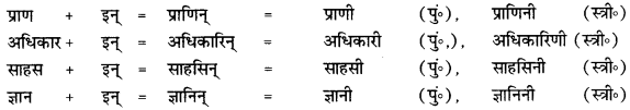 CBSE Class 12 Sanskrit व्याकरणम् प्रकृति-प्रत्यय-विभाग 20