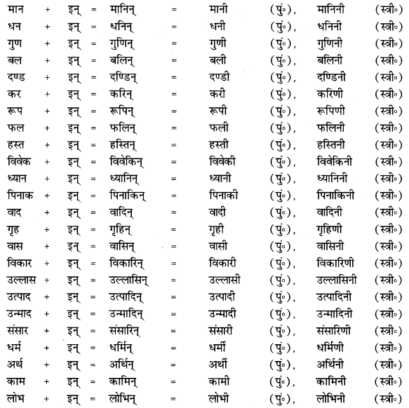 CBSE Class 12 Sanskrit व्याकरणम् प्रकृति-प्रत्यय-विभाग 21