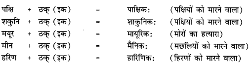 CBSE Class 12 Sanskrit व्याकरणम् प्रकृति-प्रत्यय-विभाग 26