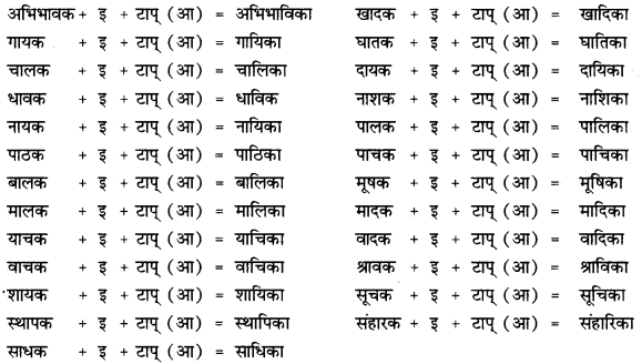 CBSE Class 12 Sanskrit व्याकरणम् प्रकृति-प्रत्यय-विभाग 38