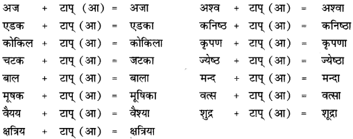 CBSE Class 12 Sanskrit व्याकरणम् प्रकृति-प्रत्यय-विभाग 36