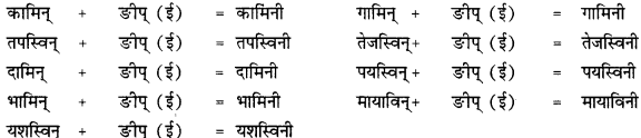 CBSE Class 12 Sanskrit व्याकरणम् प्रकृति-प्रत्यय-विभाग 40