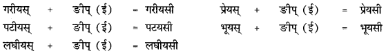 CBSE Class 12 Sanskrit व्याकरणम् प्रकृति-प्रत्यय-विभाग 42