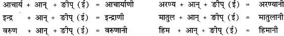 CBSE Class 12 Sanskrit व्याकरणम् प्रकृति-प्रत्यय-विभाग 49