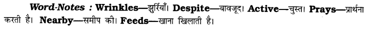 CBSE Class 6 English Composition Based on Verbal Input 6