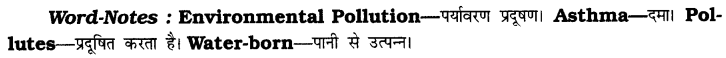 CBSE Class 6 English Composition Based on Verbal Input 8