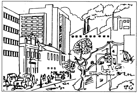 CBSE-Class-6-English-Composition-Based-on-Visual-Input-1