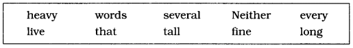 CBSE-Class-6-English-Grammar-Adjectives-1