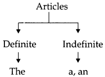 CBSE-Class-6-English-Grammar-Articles-1