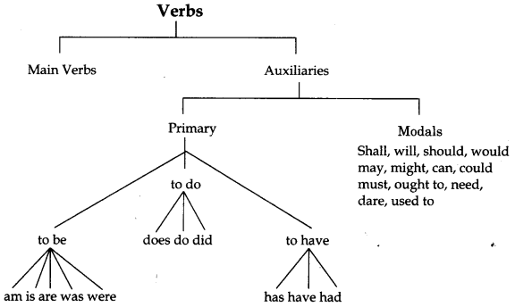 CBSE-Class-6-English-Grammar-Verb-1