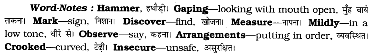 CBSE Class 6 English Unseen Passages Type I 2