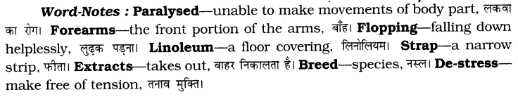 CBSE Class 6 English Unseen Passages Type I 5