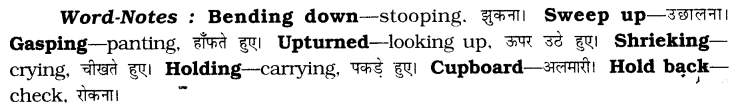 CBSE Class 6 English Unseen Passages Type I 7