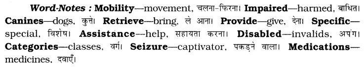 CBSE Class 6 English Unseen Passages Type I 8