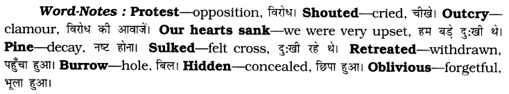 CBSE Class 6 English Unseen Passages Type I 9
