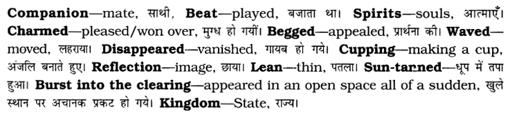 CBSE Class 6 English Unseen Passages Type II 1.1