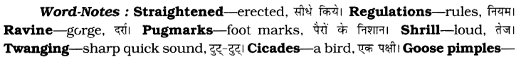 CBSE Class 6 English Unseen Passages Type II 10