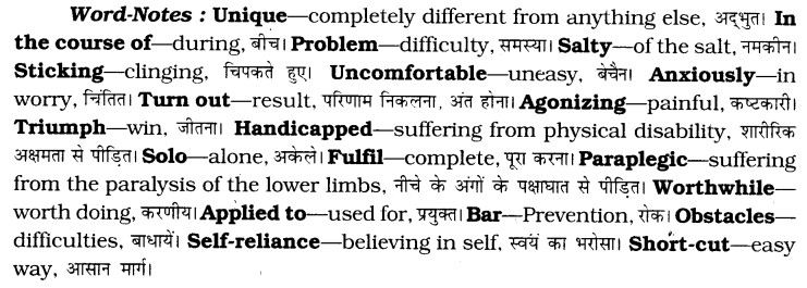 CBSE Class 6 English Unseen Passages Type II 2
