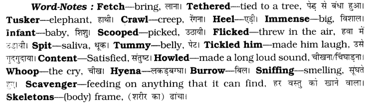 CBSE Class 6 English Unseen Passages Type II 4